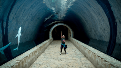 Top 3 Fantastic Travel Attractions in Dallas