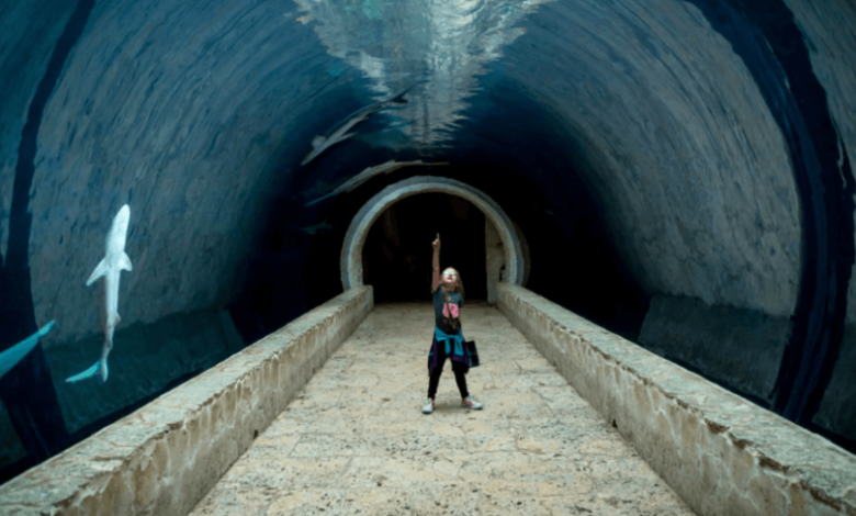 Top 3 Fantastic Travel Attractions in Dallas