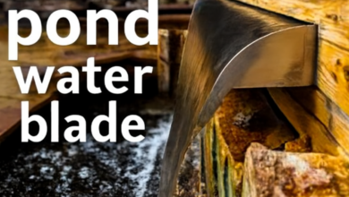 Architectural-Grade Stainless Steel Pond Water Blade for Luxury Outdoors