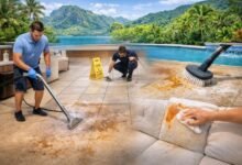 Professional Stain Removal