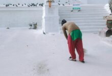 step forward daily improvement tasks