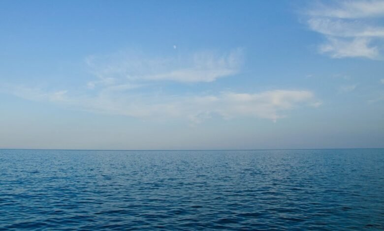 xpert horizon digital expansion edition