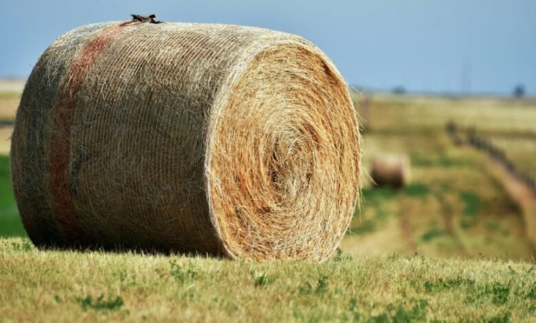 zenith node 756100441 expansion loop