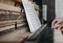 ultimate javleav beginner guide summary