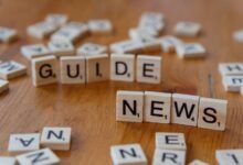 what is guide for beginners